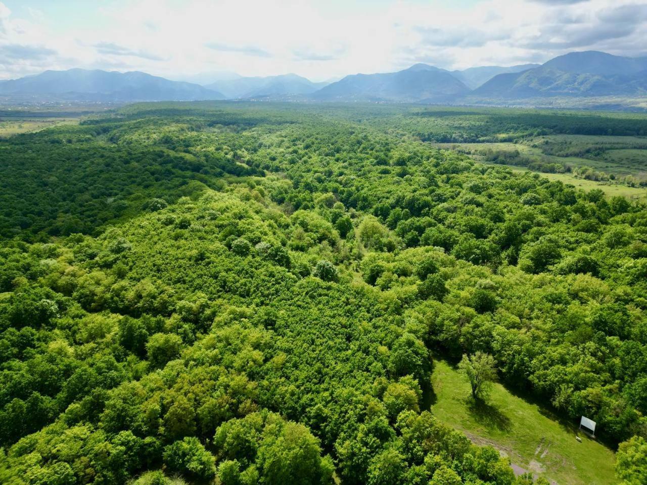 Chateau Vartsikhe Экстерьер фото